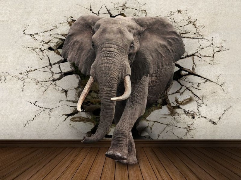 Почему в черный период жизни людей спасает слон