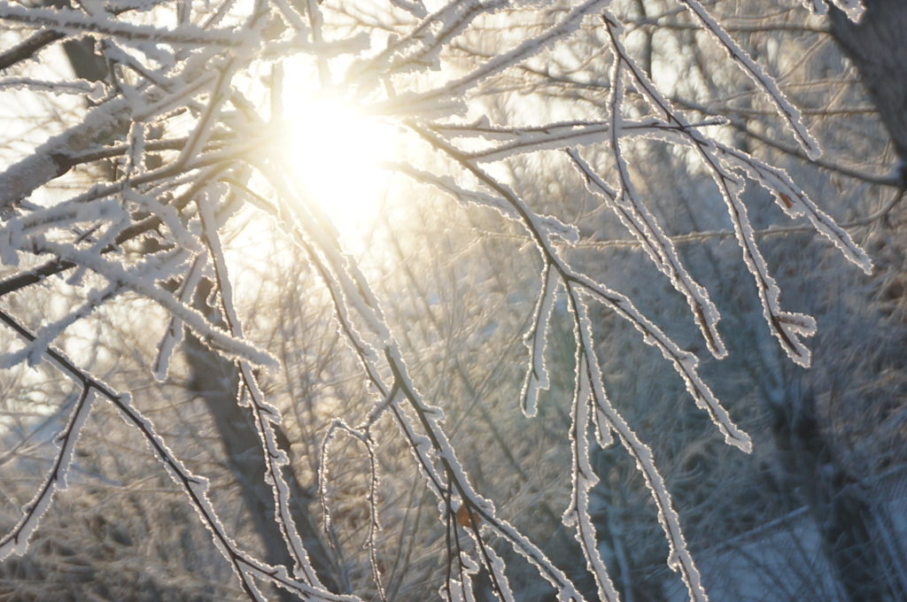 Белым-бело в душе и в январе