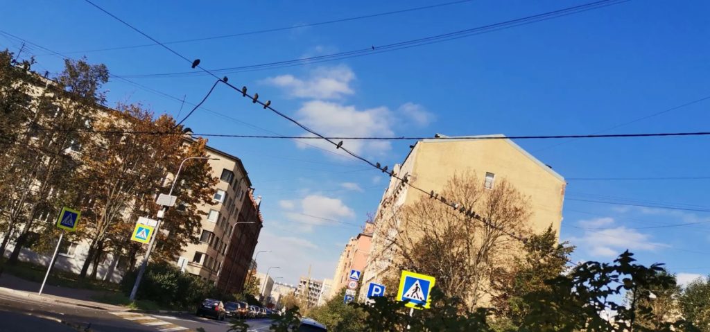 Мои интуитивные фото и реальные жизненные истории