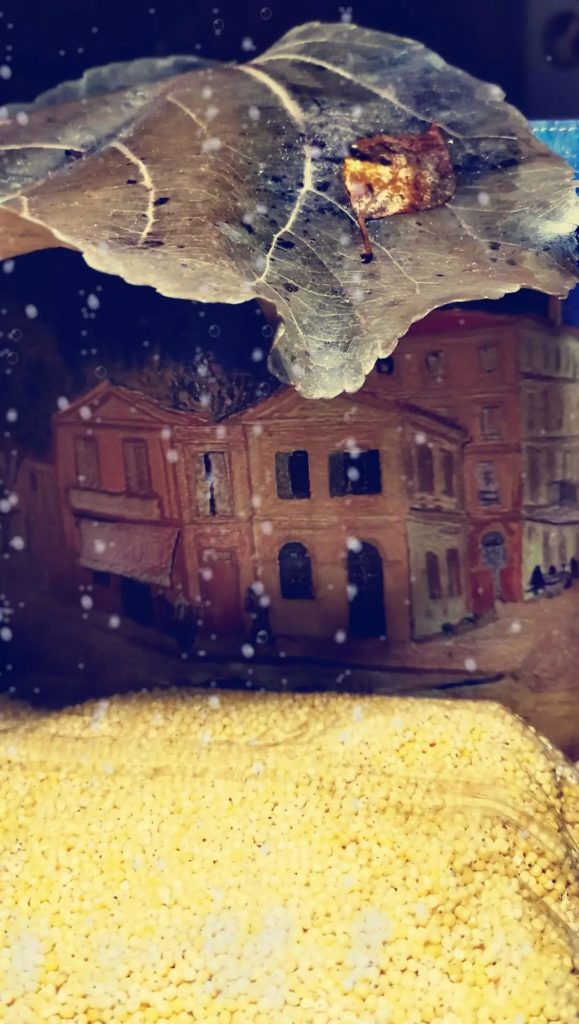 Мои интуитивные фото и реальные жизненные истории
