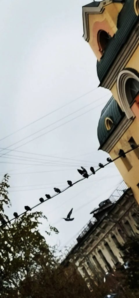 Мои интуитивные фото и реальные жизненные истории