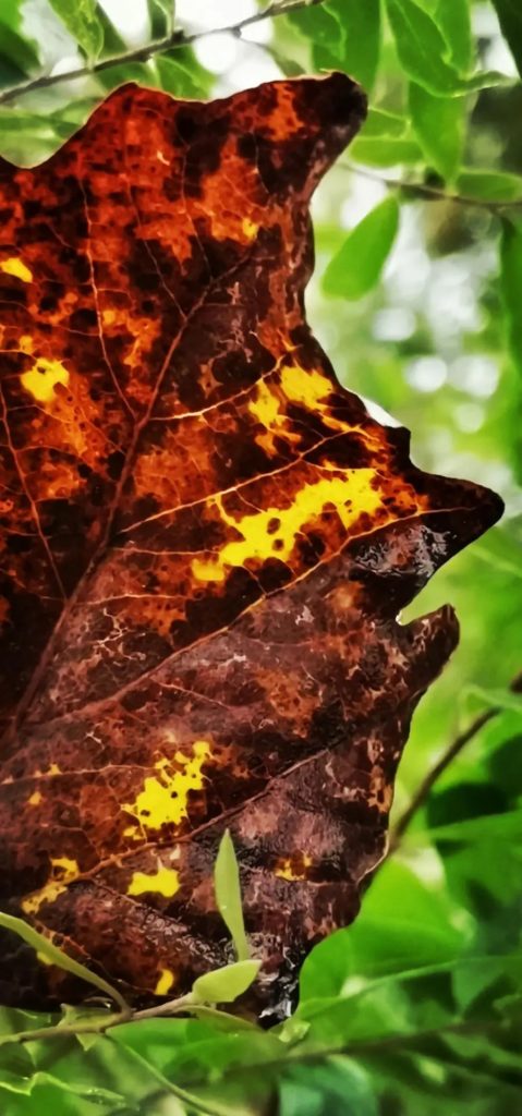 Мои интуитивные фото и реальные жизненные истории